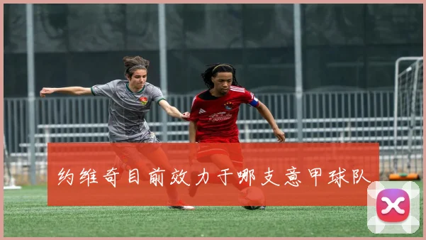 约维奇目前效力于哪支意甲球队