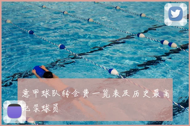 意甲球队转会费一览表及历史最高纪录球员