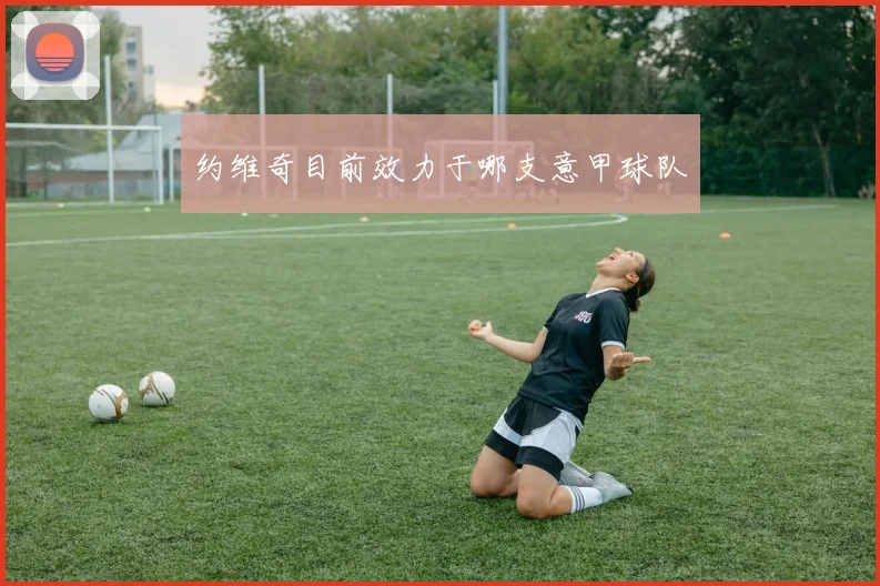 约维奇目前效力于哪支意甲球队