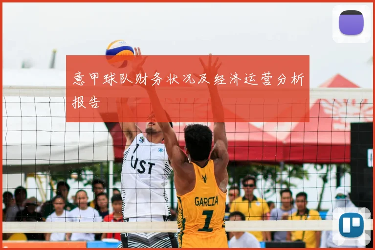 意甲球队财务状况及经济运营分析报告