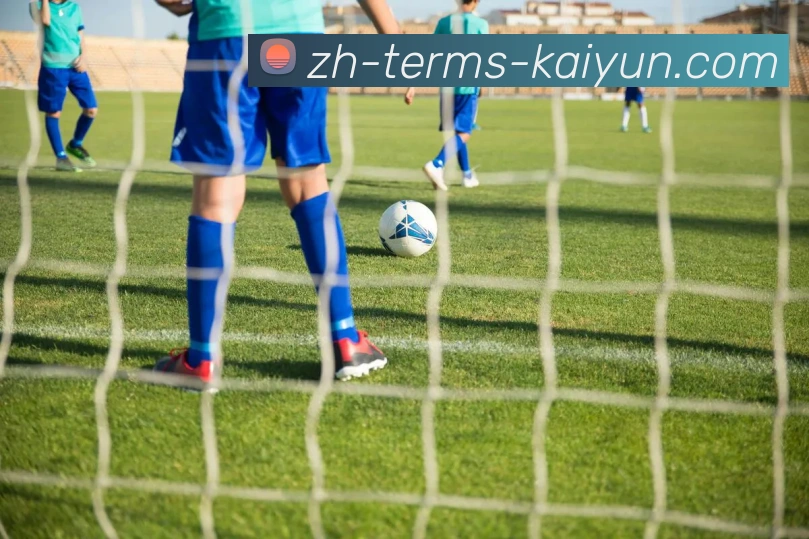 kaiyun品牌故事